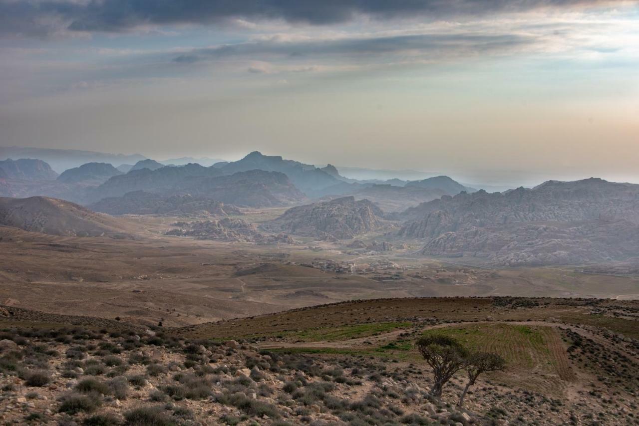 Bedouin Pink Ecohouse Bed and Breakfast Wadi Musa Esterno foto