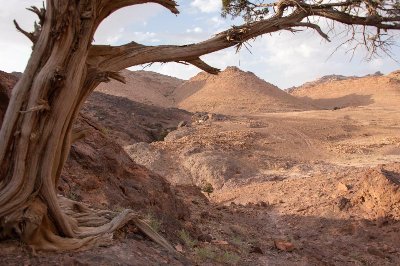 Bedouin Pink Ecohouse Bed and Breakfast Wadi Musa Esterno foto