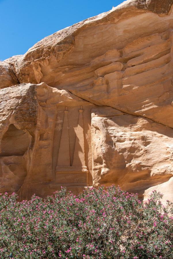 Bedouin Pink Ecohouse Bed and Breakfast Wadi Musa Esterno foto